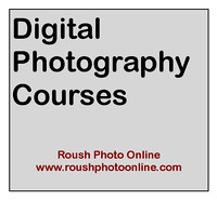 Digital Photo Courses